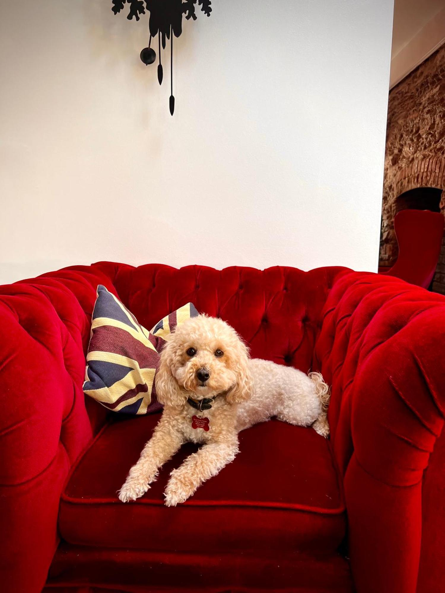 샐컴 Brightham House - Exclusively For Adults B&B 외부 사진